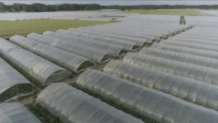 夏邑县美丽乡村介绍,美丽乡村之全景地图夏邑