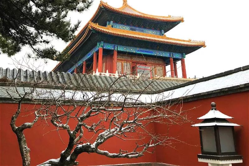 黄帝内经说春夏养生,春生夏长秋冬的养生方法