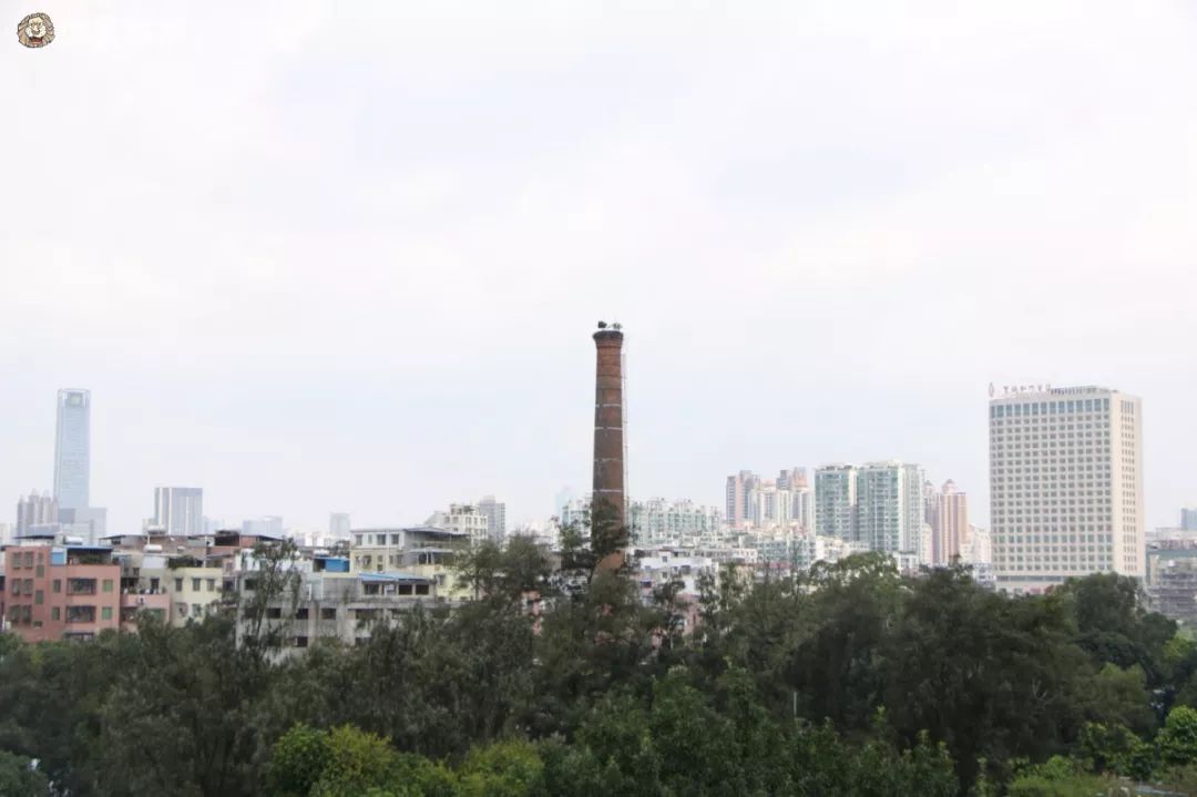 又一个破烂的网红打卡地,广州黄村网红打卡地最新