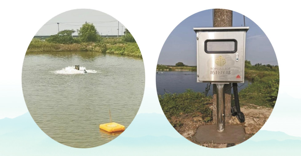 规模化水产养殖业基地的建设,打造国家级畜牧水产品基地