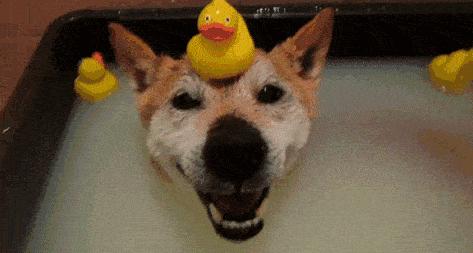 正确洗澡的方法你洗对了吗,原来这才是正确的洗澡方法