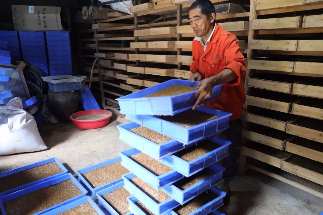 野生石蛙能养殖吗,野生石蛙养殖视频