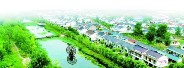 邱永信：创业致富“领头羊”