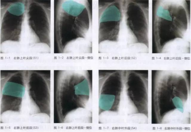 小学学霸学习方法大揭秘,小学学霸学习时间表