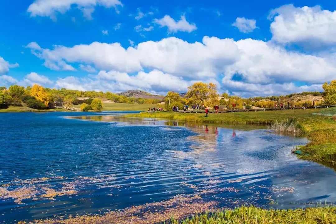 邳州广电直播间,邳州广电直播
