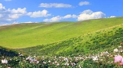 邳州广电直播间,邳州广电直播