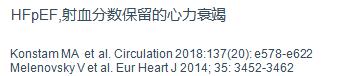 「2019CIHFC」高传玉教授：HFpEF诊断治疗新进展