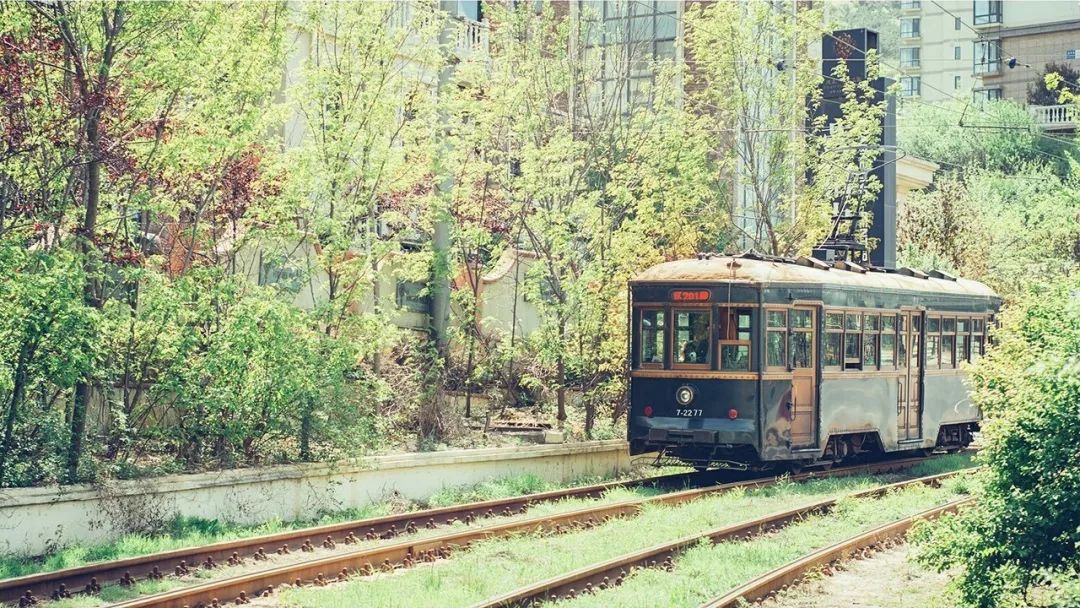 厦门青岛之旅,出行去厦门