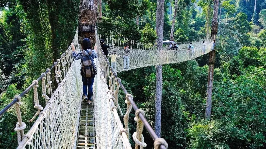 来西双版纳，做大自然的学生|雅居乐·西双林语夏令营开始报名啦