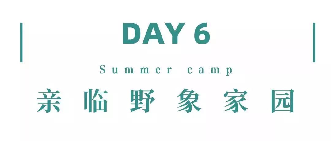 来西双版纳，做大自然的学生|雅居乐·西双林语夏令营开始报名啦