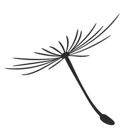 警惕传销套路大揭秘,警惕传销新套路