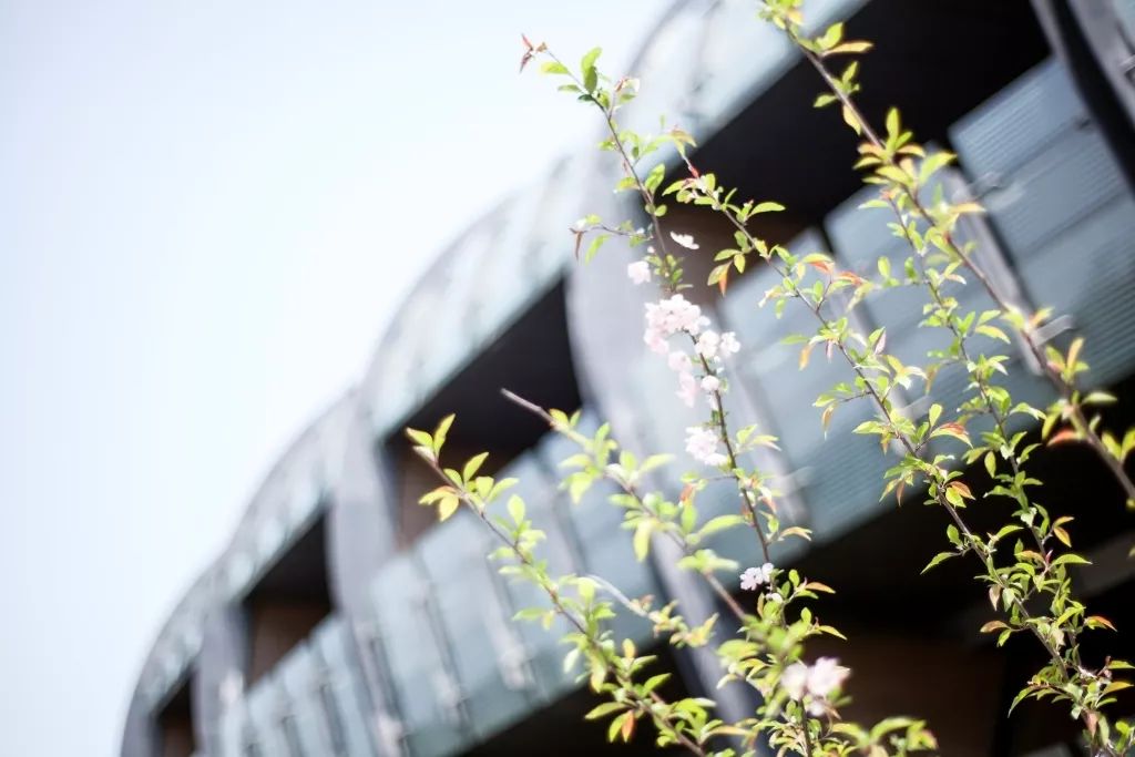 魔都最新网红地,魔都新晋打卡