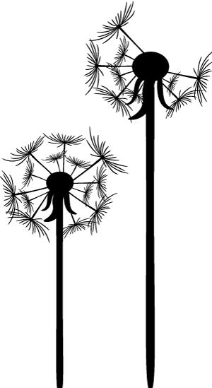 热点夏粮丰收品种升级作用凸显,热点农业高质量发展