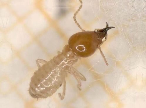 好消息30元红包免费领不领白不领,好消息10元红包免费领不领白不领