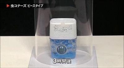 夏天驱蚊必备好物良心推荐,给大家推荐一款驱蚊神器驱蚊草