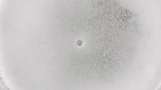 泡它,洗衣更省时省力