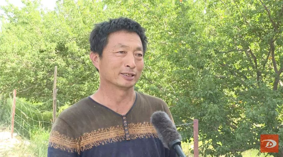 金蛋蛋,金蛋蛋盲袋