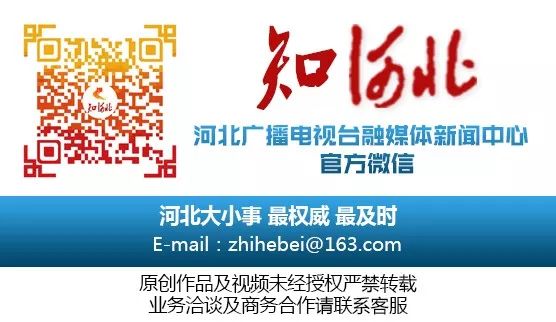 2020中超石家庄永昌,石家庄永昌中超回顾