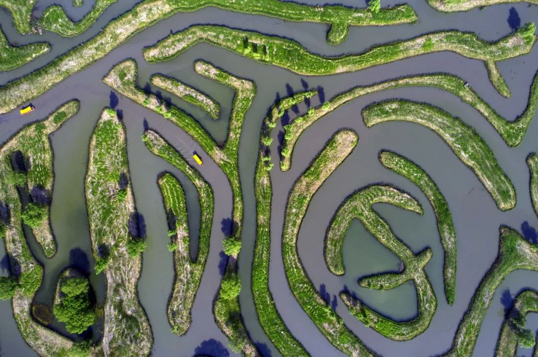 江苏的世界遗产旅游景区,江苏哪些地方被列入世界文化遗产