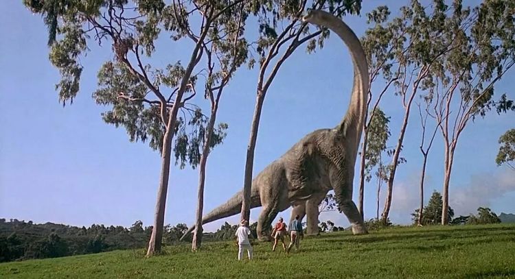 年度必看电影哥斯拉2怪兽之王,哥斯拉大战金刚2什么时候上映