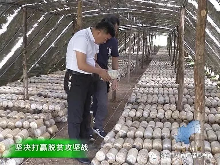 胡家乡红石村视频,胡家乡红石村最新视频