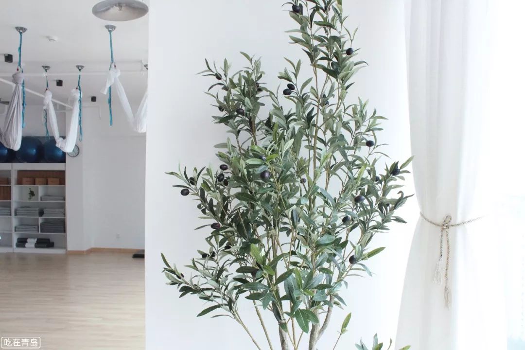 崂山瑜伽馆,山东省青岛市崂山区瑜伽馆