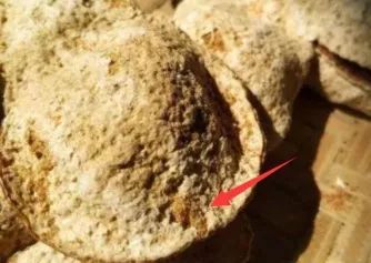 虫蛀的陈皮还能吃吗,陈皮虫蛀了怎么办