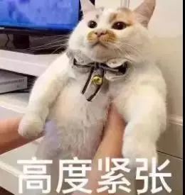 家长对孩子进行安全教育,家长教育孩子要不要很严厉