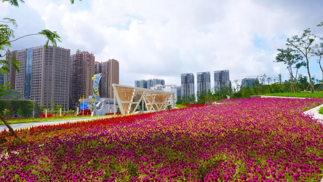 防城港园博园参观时间,防城港园博园活动时间直播