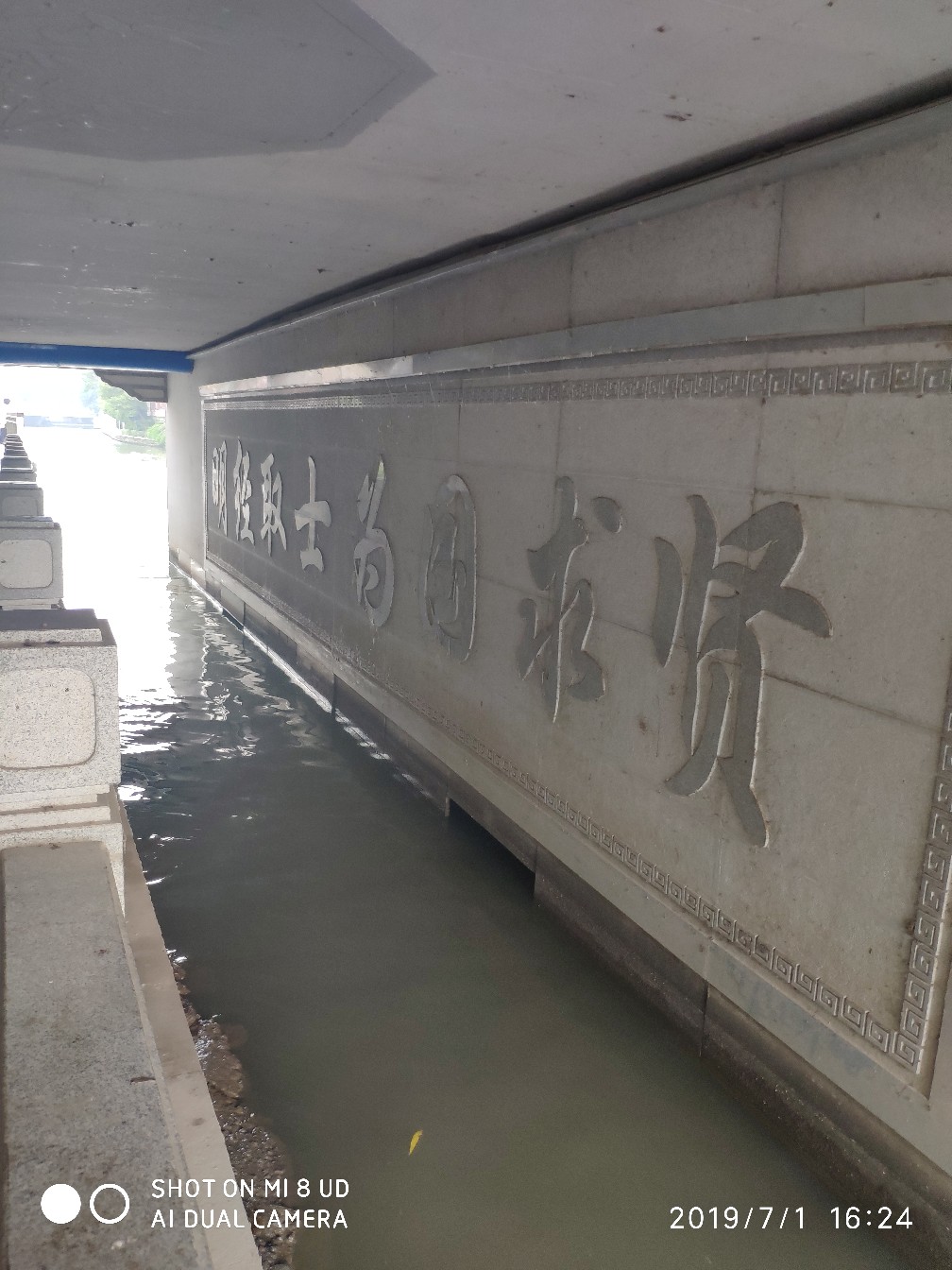 黑鱼钓上岸了怎么办,黑鱼新手