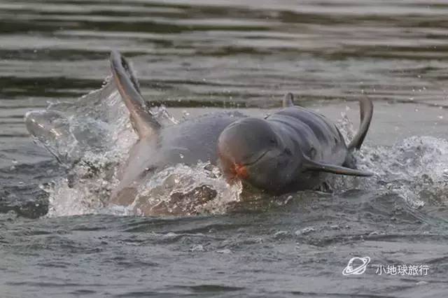 缅甸一日游经典攻略,缅甸旅游3-4天攻略最佳线路