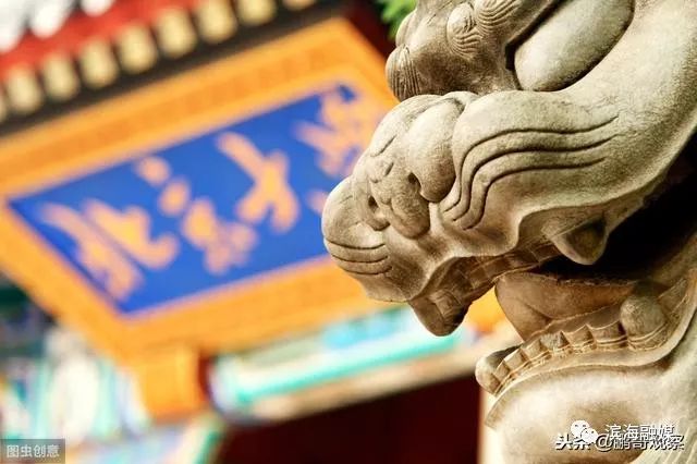 滨海中考各学校升学率,关注中考成绩