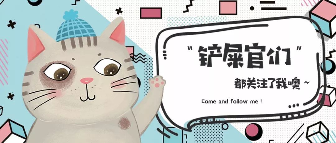 千万别养猫,来自万千网友的血泪控诉