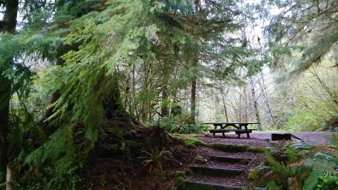 神奇的西雅图,是你心里的哪座城吗?