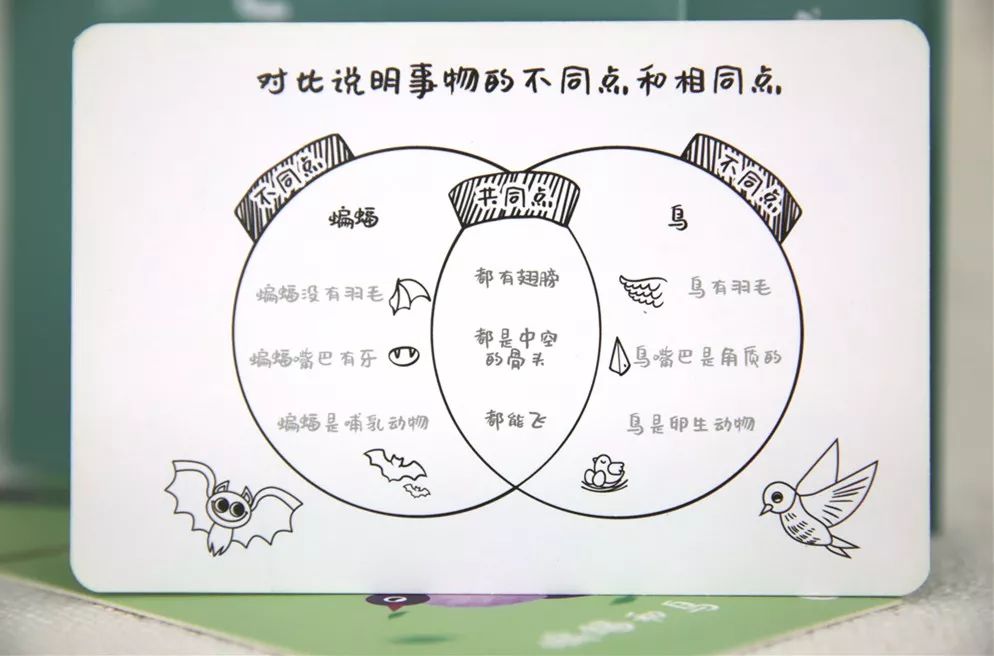 刚上小学如何让孩子自信胆大,怎么引导孩子做一个自信的小学生