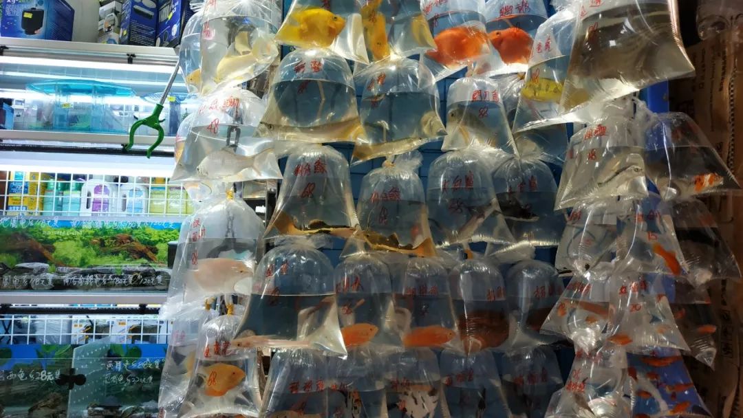 香港值得去的购物街,香港购物必去的街