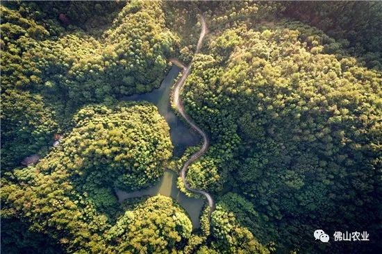 佛山凉快一点景点,佛山附近凉快的地方避暑胜地