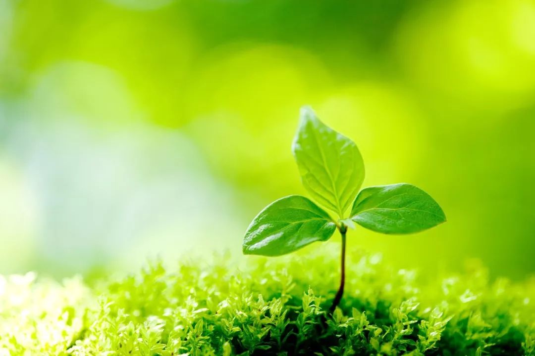 100个极易错的字,一读就错的100个常见字