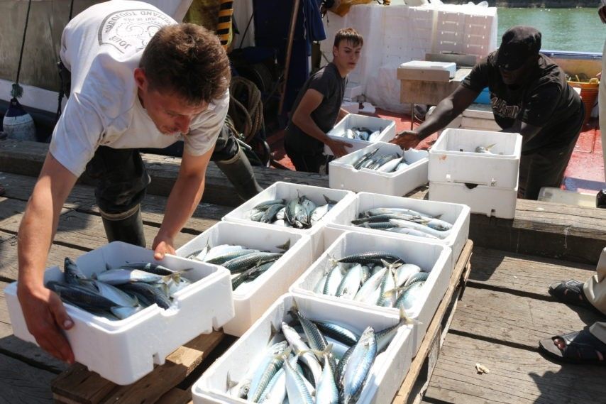 「旅游」“全民暑假”开启！想出去浪？看看法国人青睐的暑期旅行目的地吧