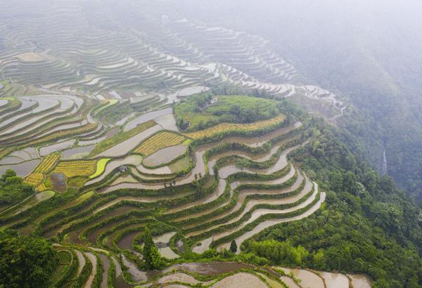 来丽水青田游玩,青田秋游