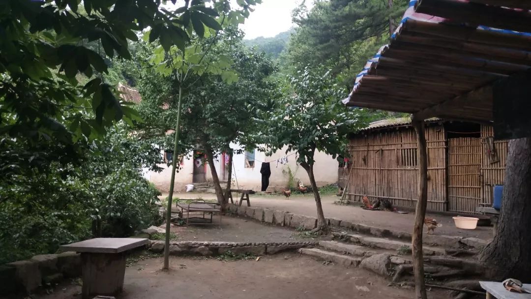 洛阳市养子沟旅游攻略,养子沟一日旅游攻略