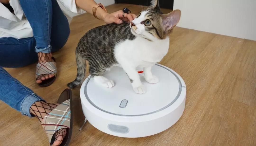 总加班的996人士，买点啥才能感受到生活的美好？