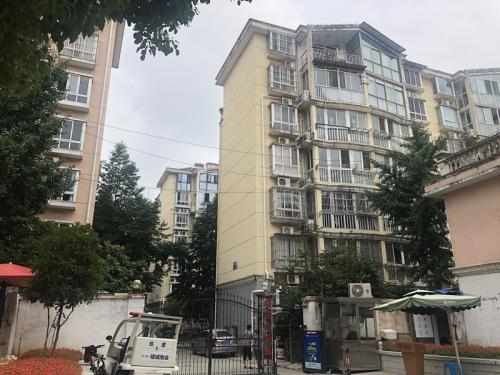 太火!总价百万置业南站,一批小面积二手房受热捧