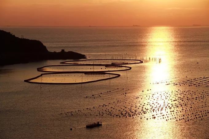 江浙沪皖民宿2-3天短途旅游,江浙沪可以在房间钓鱼的民宿