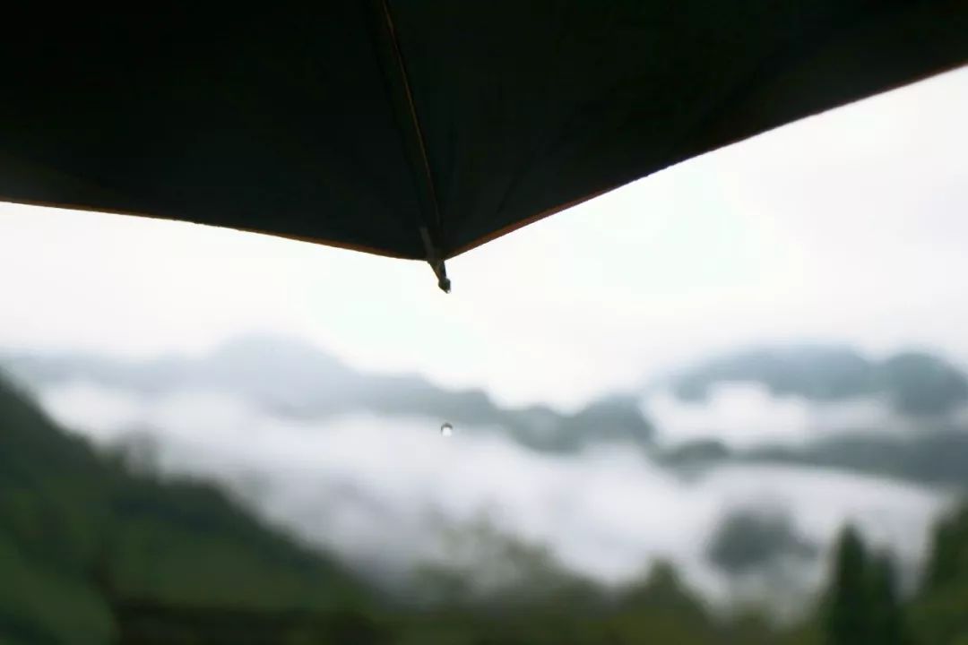 民宿一隅小院,民宿依山傍水清幽静谧