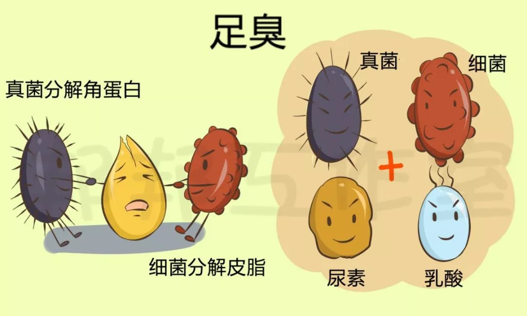 脚气引起的脚面溃烂肿胀怎么治愈,身上感染了脚气真菌要怎么治愈