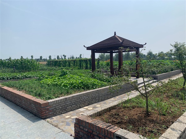 走乡村看新貌视频,走进乡村看振兴印江板溪