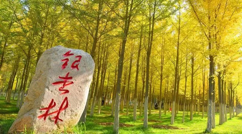 听！选出你心中的工大之歌