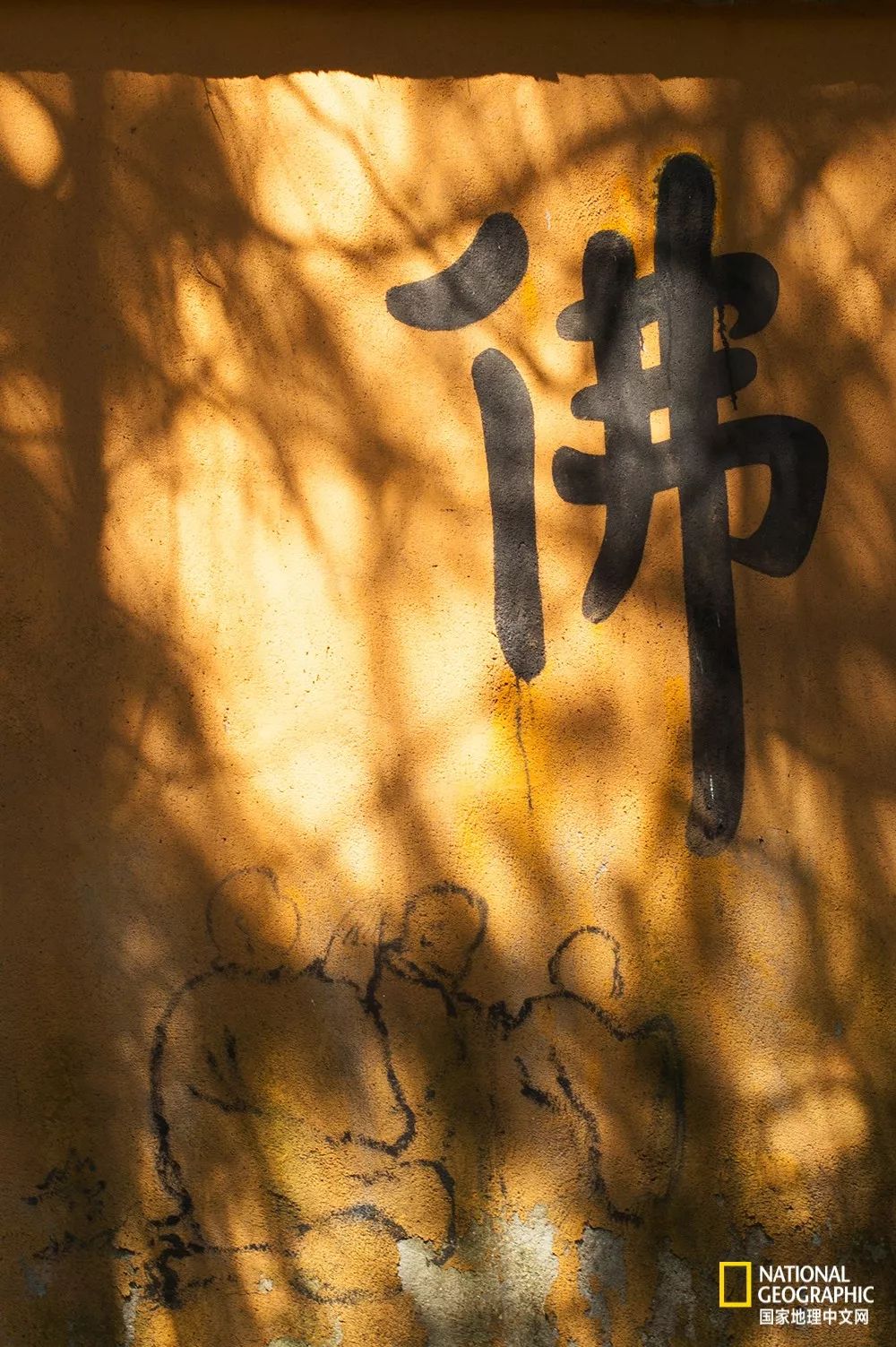 南京古寺看萤火,南京萤火虫在灵谷寺还是明孝陵