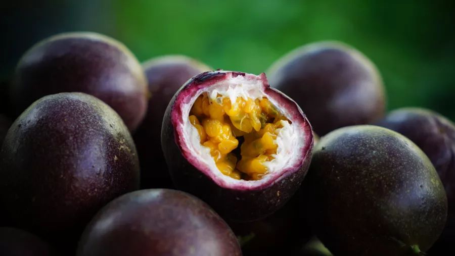 宾川最出名的石榴,大理宾川石榴